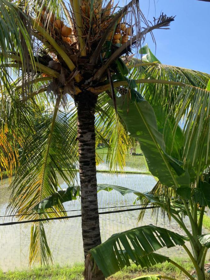 Villa Agung Beach Inn Lovina Kültér fotó